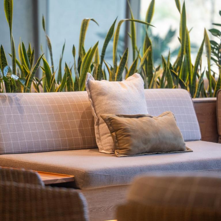 Alma Caribe - Apartamento de 1 dormitorio - 28