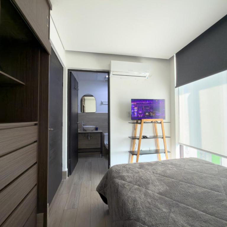 Dpto cerca de UANL Ternium y metro - Apartment - 5