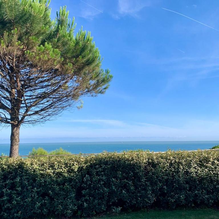 Océan et Golf - Family Surf, terrasse vue océan, piscine et parking - Apartment mit 1 Schlafzimmer - 9