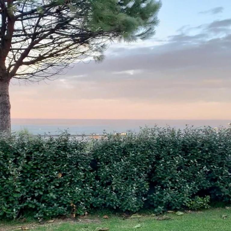 Océan et Golf - Family Surf, terrasse vue océan, piscine et parking - Apartment mit 1 Schlafzimmer - 19