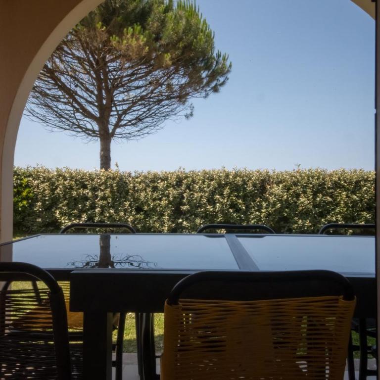 Océan et Golf - Family Surf, terrasse vue océan, piscine et parking - Apartment mit 1 Schlafzimmer - 27