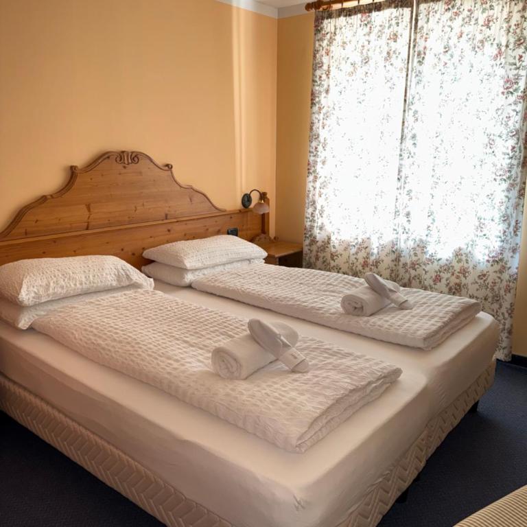Garden Hotel Bellariva - Habitación Doble - 1 o 2 camas - 2