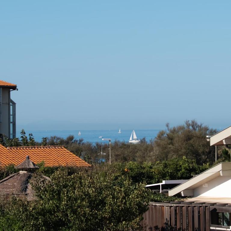 Plage Centrale - Apartamento de 2 dormitorios - 13