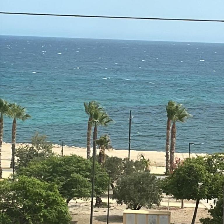 primera linea de playa - Apartamento de 2 dormitorios - 4