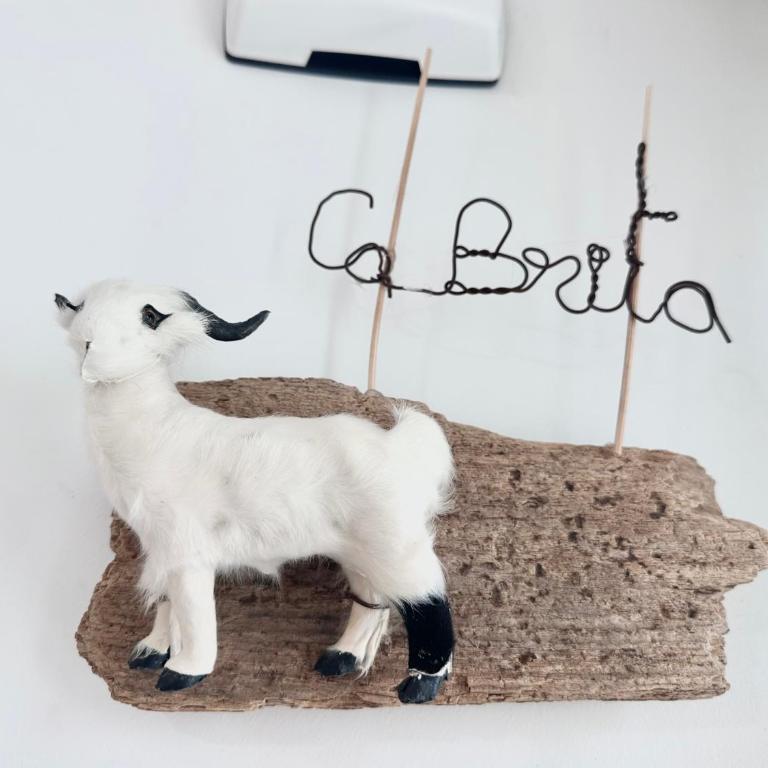 Ca Brita Cotillo Flow - Apartamento de 2 dormitorios - 28