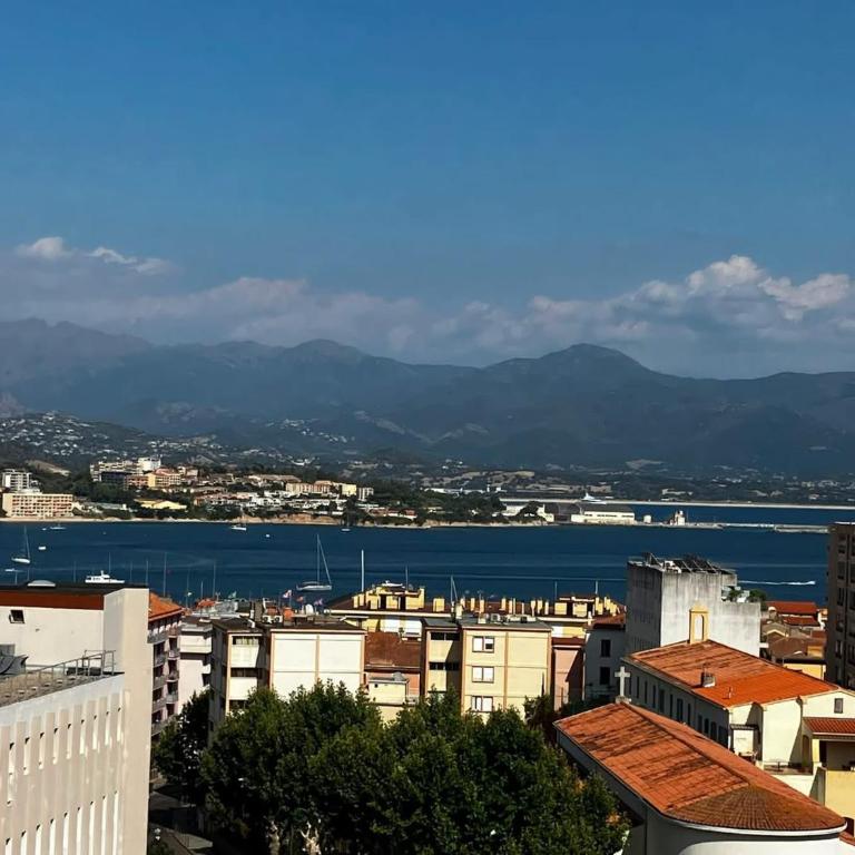 Très bel appartement avec terrasse de 87m2 avec une superbe vue panoramique sur la baie d Ajaccio - Apartment mit 2 Schlafzimmern - 57