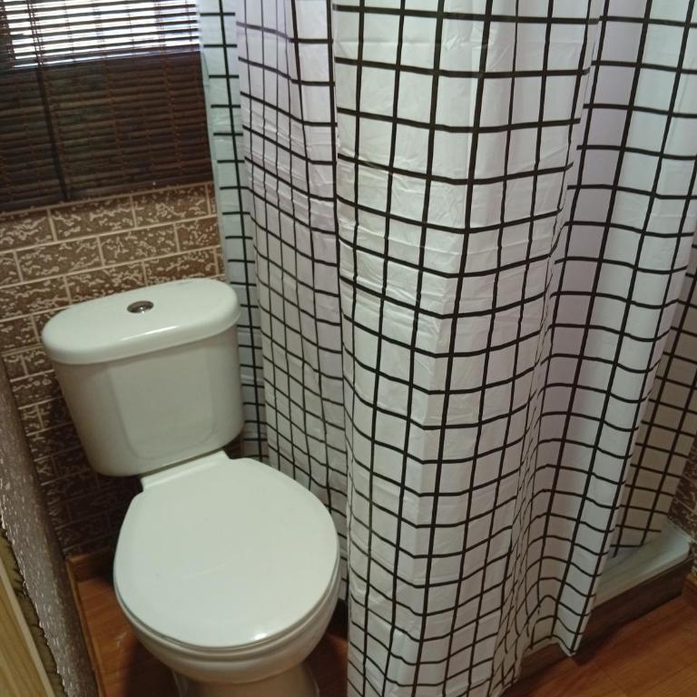 Tiny Home - One-Bedroom Apartment - 5