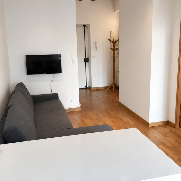 Appartement Lyon - Villeurbanne - Appartement 1 Chambre Standard - 5