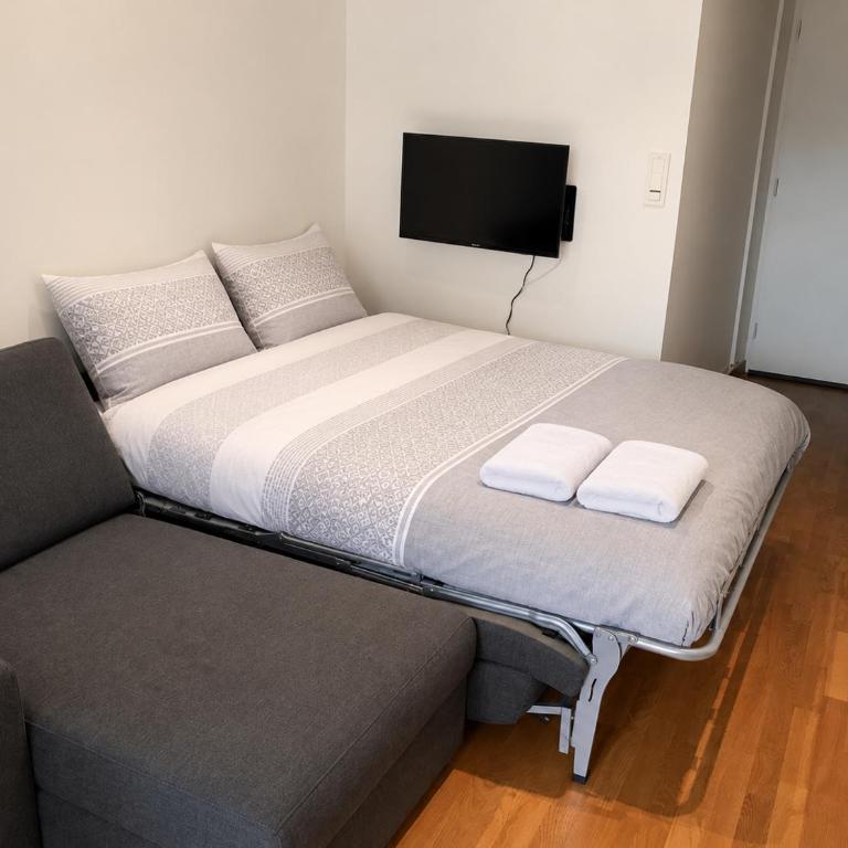 Appartement Lyon - Villeurbanne - Appartement 1 Chambre Standard - 6
