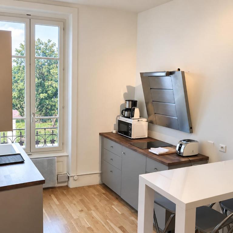 Appartement Lyon - Villeurbanne - Appartement 1 Chambre Standard - 8