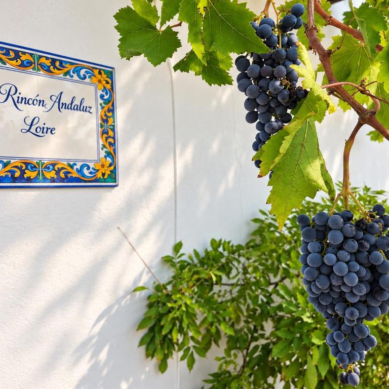 Casa Loire - Private Villa with Pool - Chalet de 3 dormitorios - 55