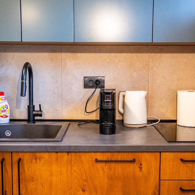 Wolf Apartments Zabljak - Apartman sa 1 Spavaćom Sobom - 16