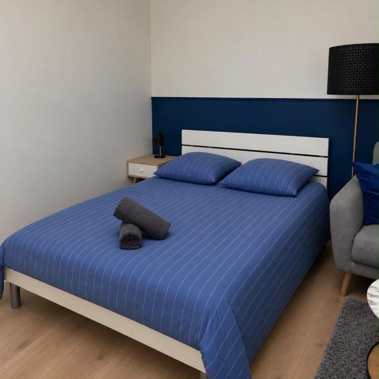 Séjour lumineux & calme en plein cœur d'Angers - Appartement 1 Chambre - 5