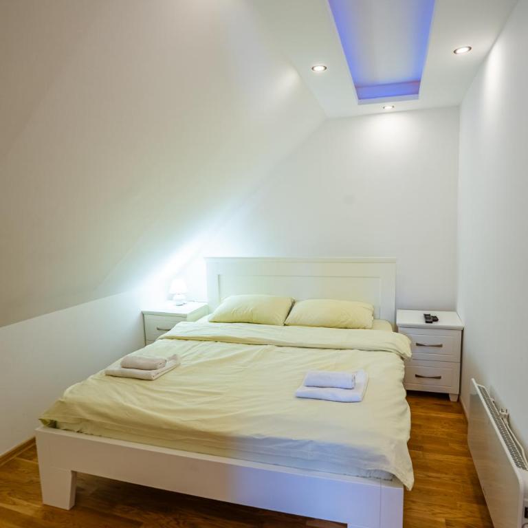 Wolf Apartments Zabljak - Apartman s 2 Spavaće Sobe sa Balkonom i Terasom - 13