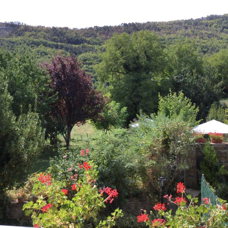 La Casita de Ordesa - Appartamento con 2 Camere da Letto - 11