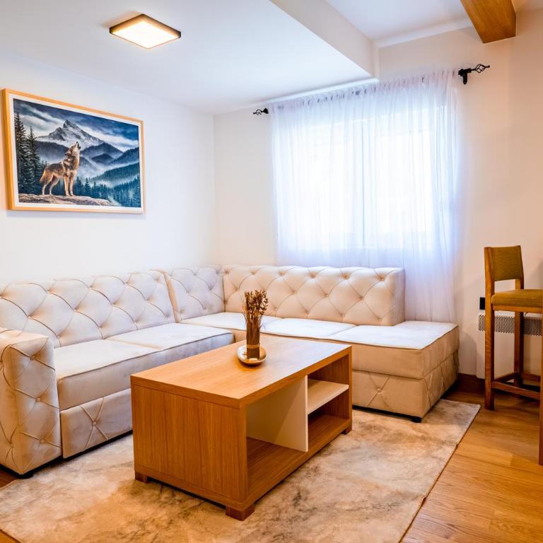 Wolf Apartments Zabljak - Apartman sa 1 Spavaćom Sobom - 10