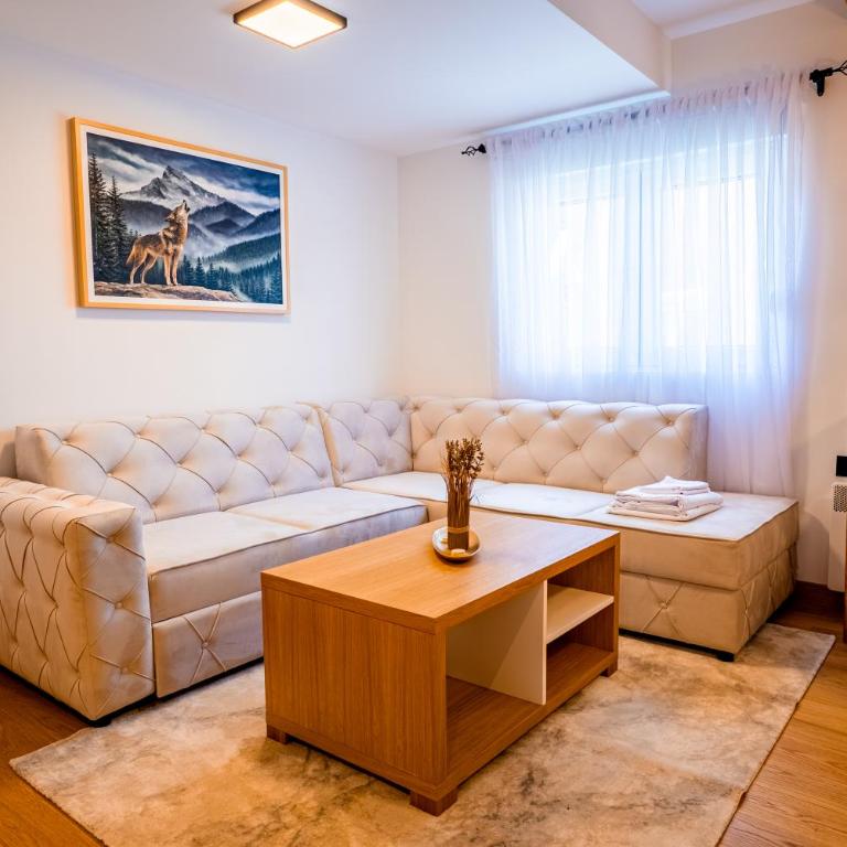 Wolf Apartments Zabljak - Apartman sa 1 Spavaćom Sobom - 11