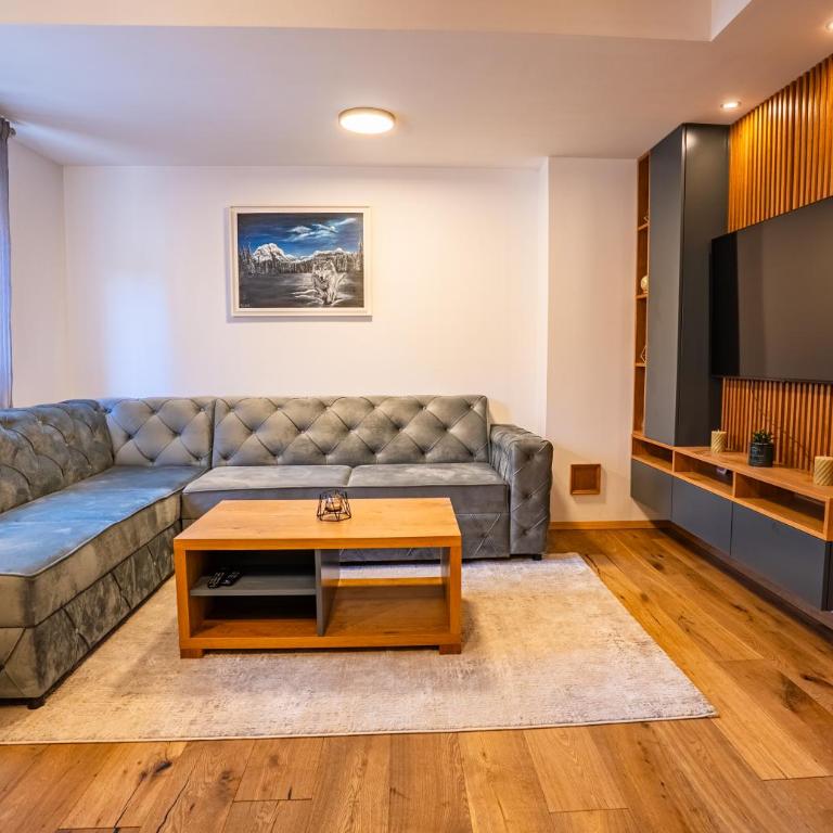 Wolf Apartments Zabljak - Apartman sa 1 Spavaćom Sobom - 9