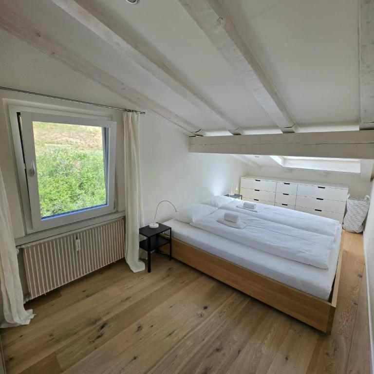 EN Enzian - Engadin HITrental Apartment - Apartment mit 2 Schlafzimmern und Balkon - 6