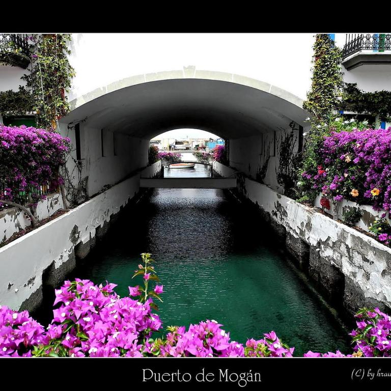 Luxury Europe-Puerto de Mogán - Apartamento Deluxe - 35