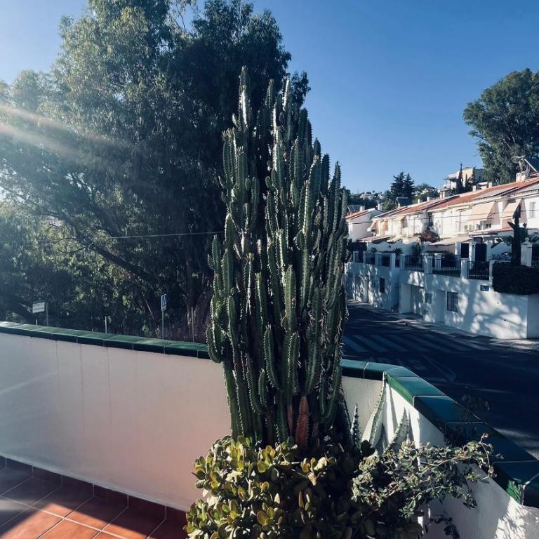 El nido del amá - Apartamento de 1 dormitorio - 8