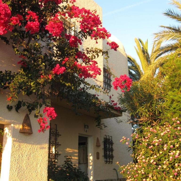 Casa Brigitta Holiday House - Villa avec Piscine Privée - 7