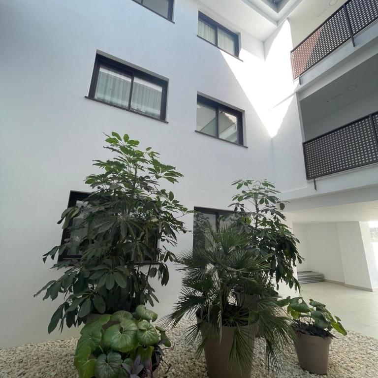 Lomas 5 - 1B - Apartamento de 1 dormitorio - 17