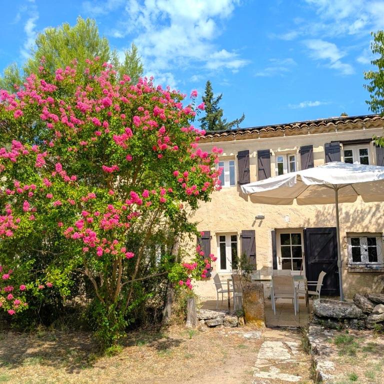 Le mas des Lilas - Appartement - Vue sur Piscine - 33