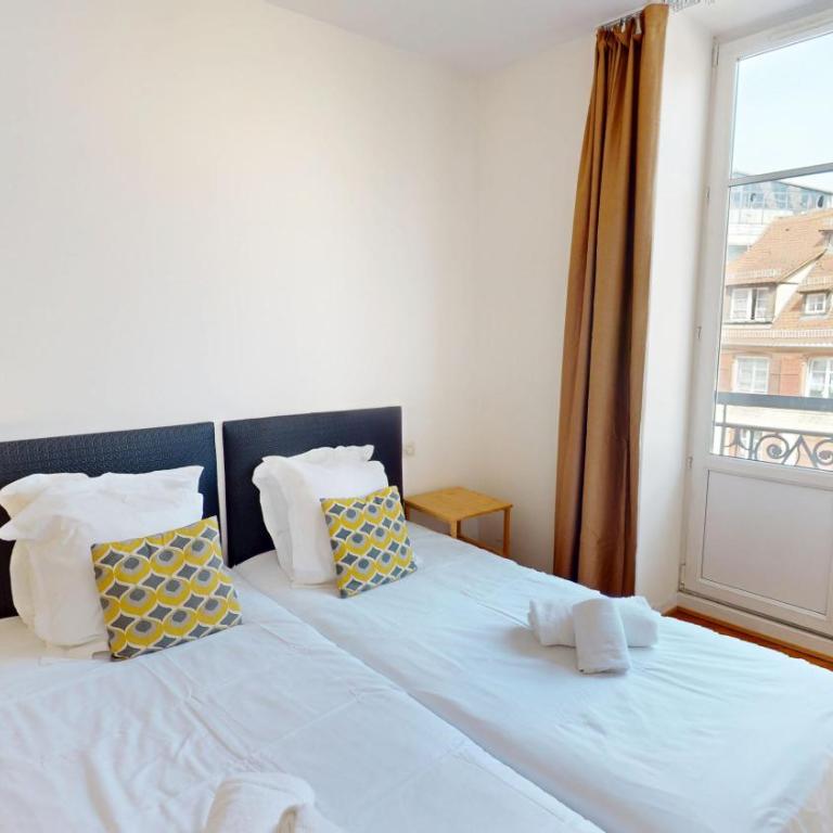 Strasbourg Appart Rue du 22 Novembre - Appartement Netter 2 Chambres + Salon - 3