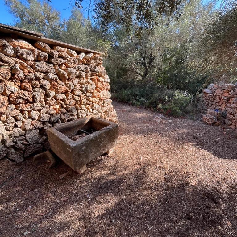 Country House Es Trenc - Villa de 3 dormitorios - 56
