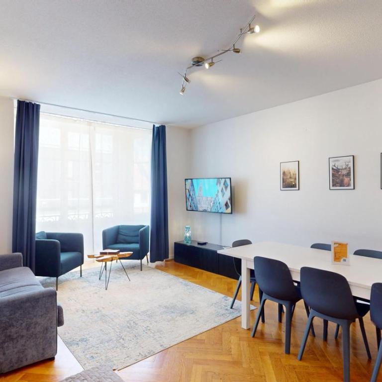 Strasbourg Appart Rue du 22 Novembre - Appartement Netter 2 Chambres + Salon - 15