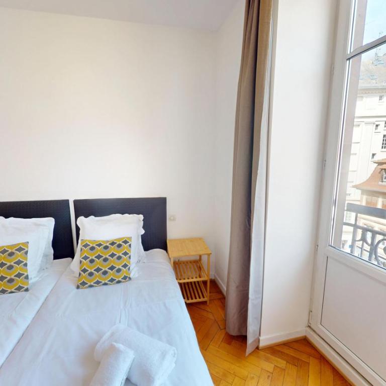 Strasbourg Appart Rue du 22 Novembre - Appartement Netter 2 Chambres + Salon - 19
