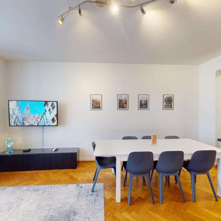 Strasbourg Appart Rue du 22 Novembre - Appartement Netter 2 Chambres + Salon - 29