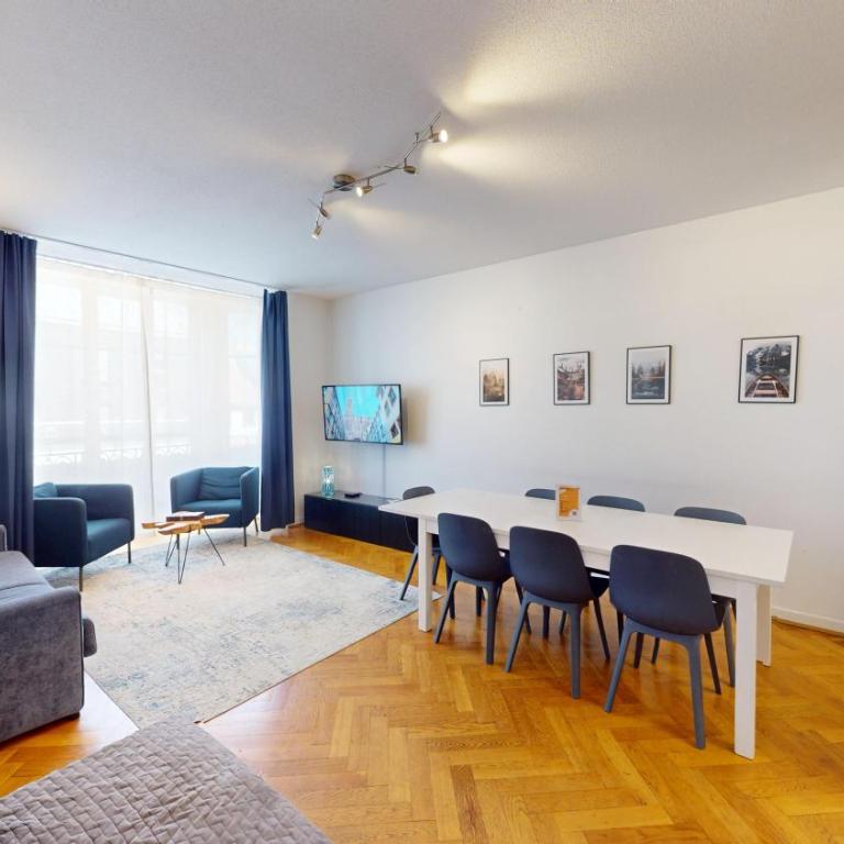 Strasbourg Appart Rue du 22 Novembre - Appartement Netter 2 Chambres + Salon - 28