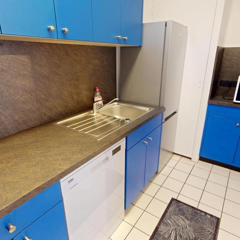 Strasbourg Appart Rue du 22 Novembre - Appartement Netter 2 Chambres + Salon - 31