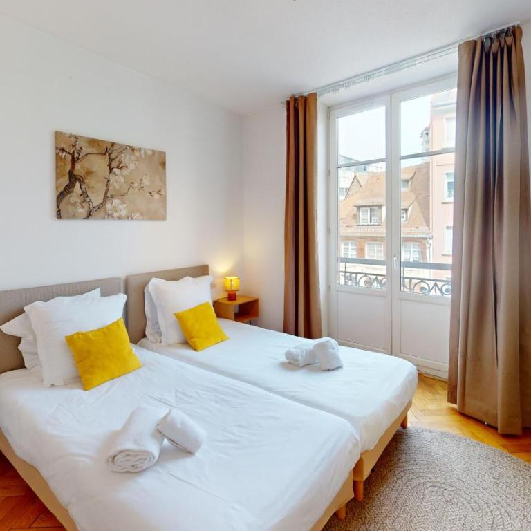 Strasbourg Appart Rue du 22 Novembre - Appartement Netter 2 Chambres + Salon - 30