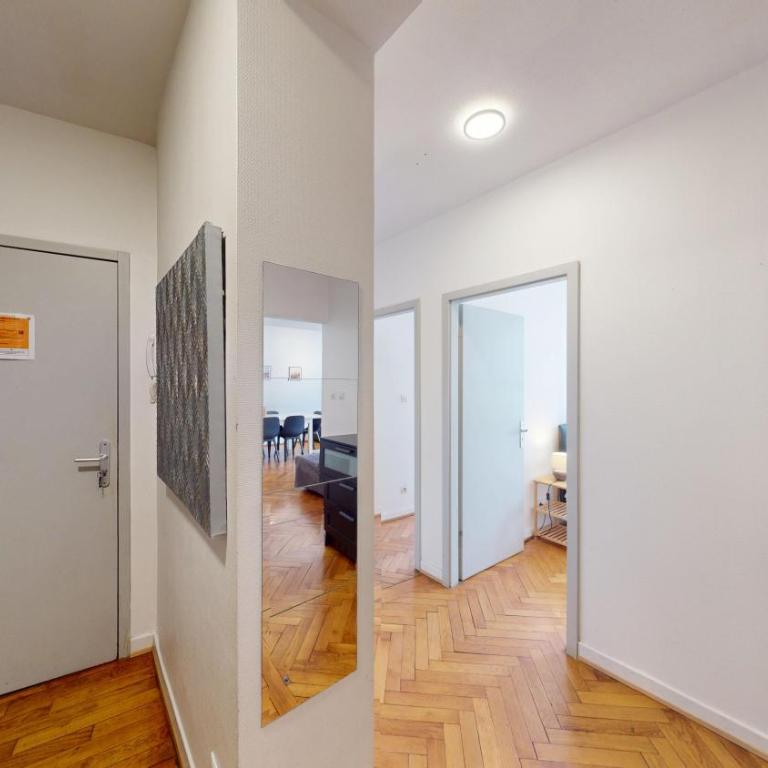 Strasbourg Appart Rue du 22 Novembre - Appartement Netter 2 Chambres + Salon - 33
