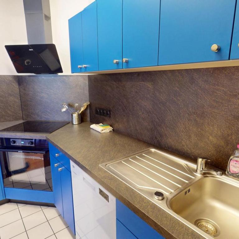 Strasbourg Appart Rue du 22 Novembre - Appartement Netter 2 Chambres + Salon - 36