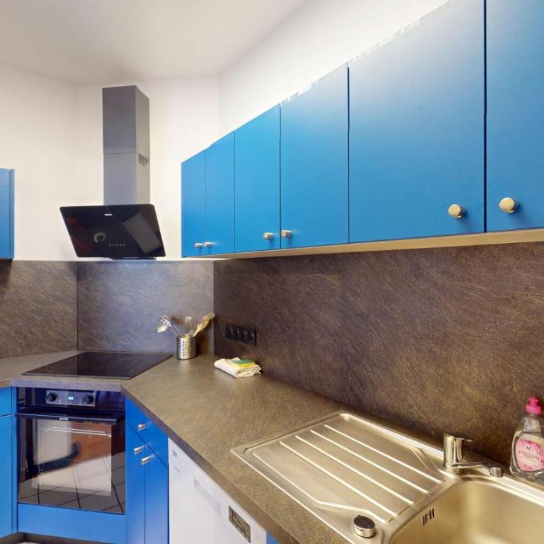 Strasbourg Appart Rue du 22 Novembre - Appartement Netter 2 Chambres + Salon - 37