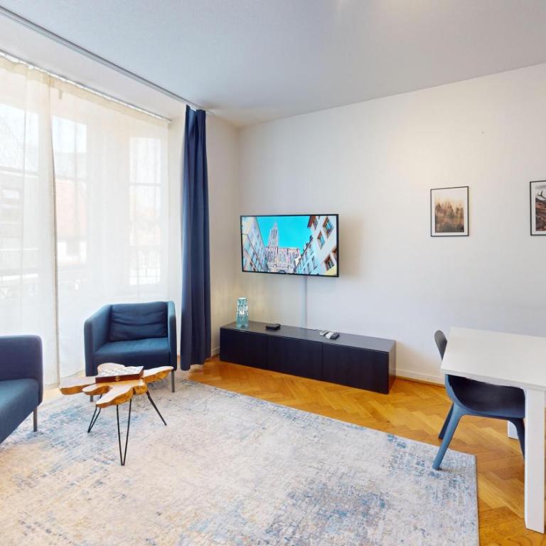Strasbourg Appart Rue du 22 Novembre - Appartement Netter 2 Chambres + Salon - 38