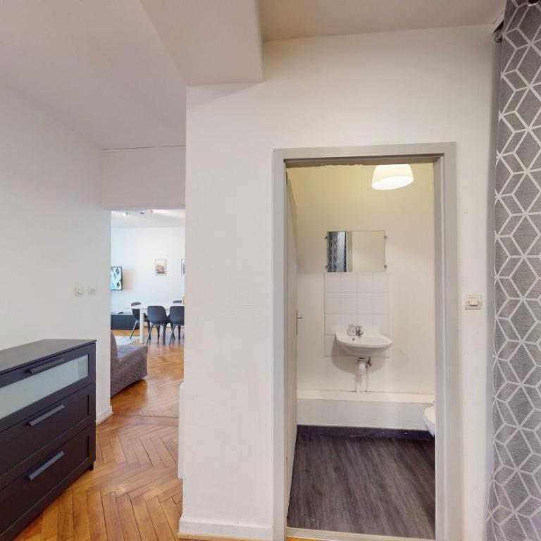 Strasbourg Appart Rue du 22 Novembre - Appartement Netter 2 Chambres + Salon - 40
