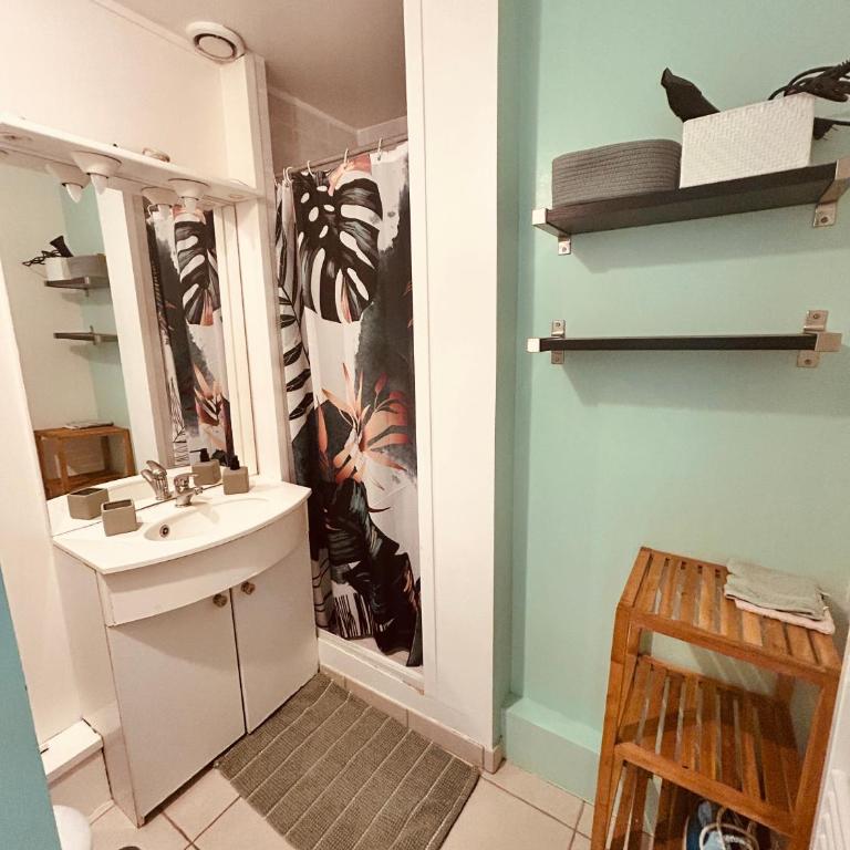Large bright apartment Downtown Station 5 min away - Appartement 1 Chambre - 7