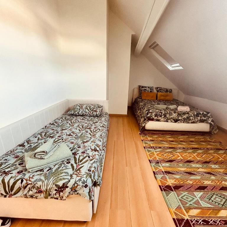 Large bright apartment Downtown Station 5 min away - Appartement 1 Chambre - 15