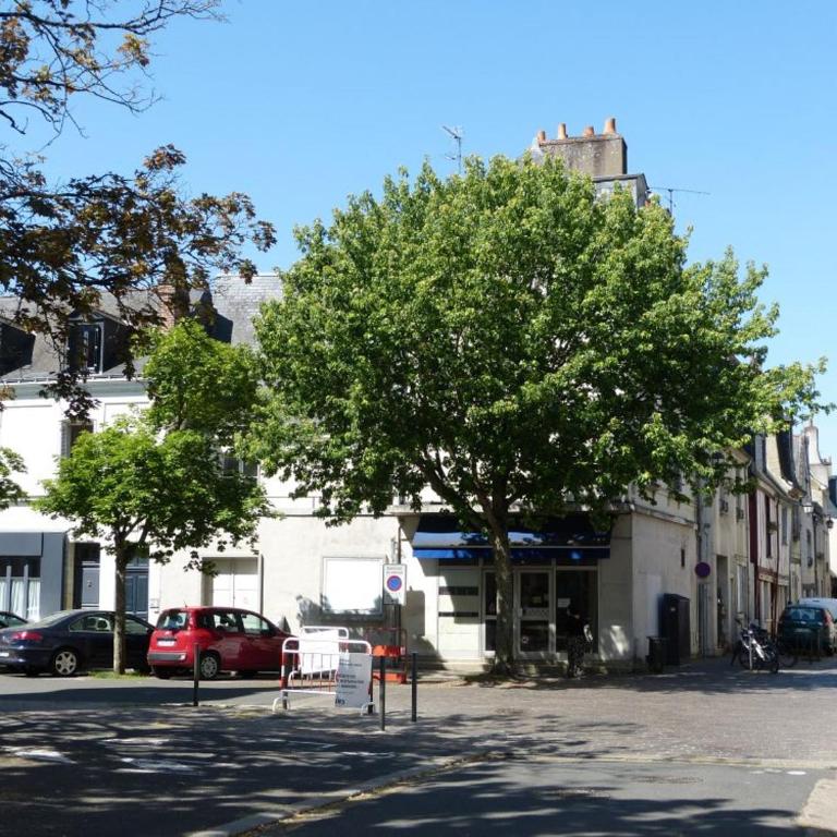 Cocon à Tours - Calme, lumineux & parking gratuit - Appartement 1 Chambre - 12