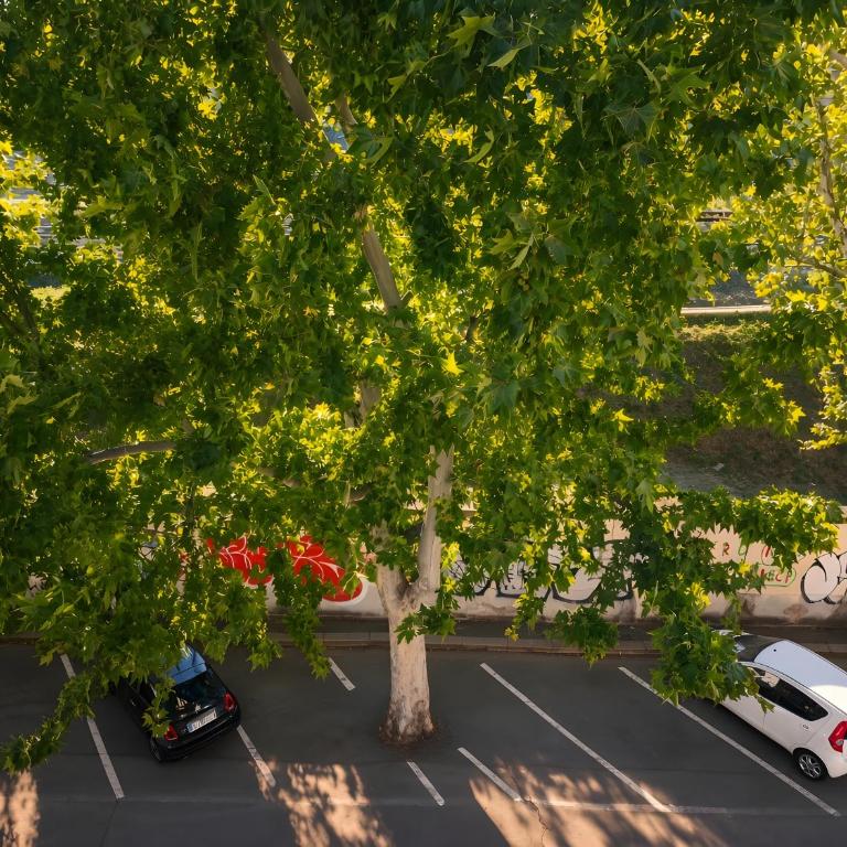 Florence Home Accogliente Appartamento a 15' Dal Duomo - Fuori Ztl parcheggio senza stress - Appartamento con 1 Camera da Letto - 14