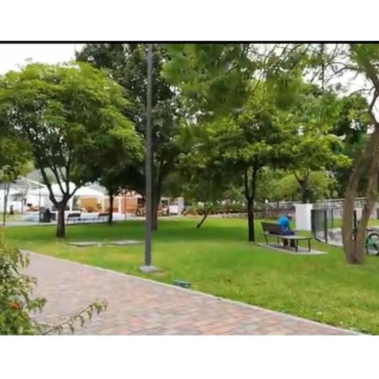 Iguana Host - Apartamento de 1 dormitorio - 9