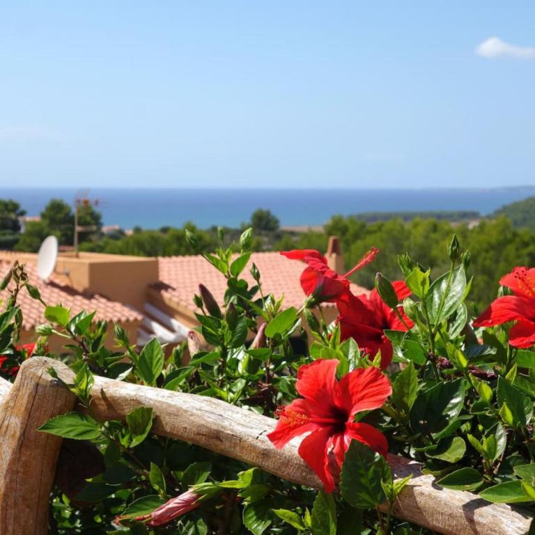 Villas Menorca Sur by 3VILLAS - Villa con vistas al mar - 5