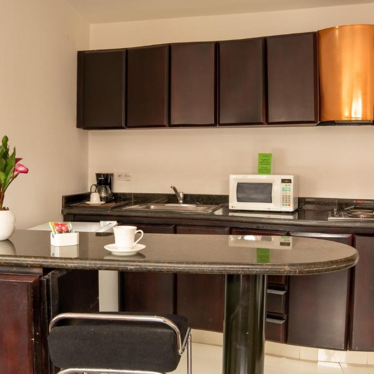 Richmond Suites Hotel - Suite con cama extragrande - 14