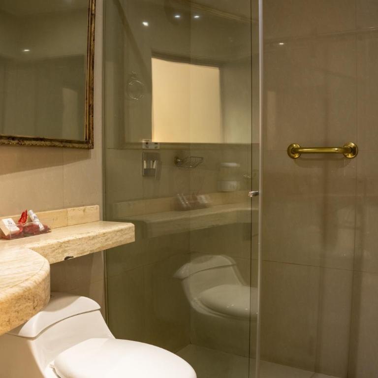 Richmond Suites Hotel - Suite con cama extragrande - 9