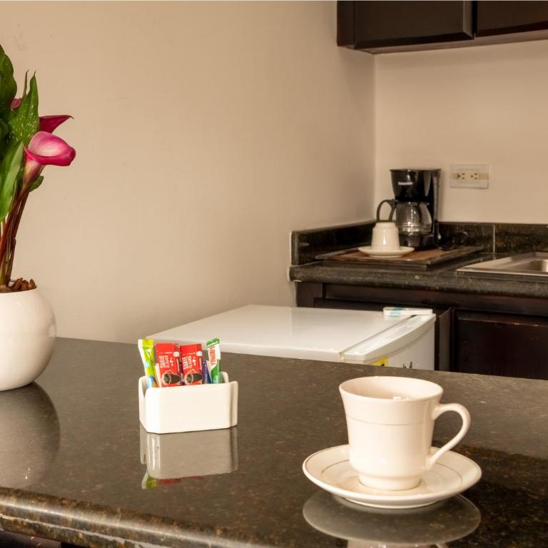 Richmond Suites Hotel - Suite con cama extragrande - 12